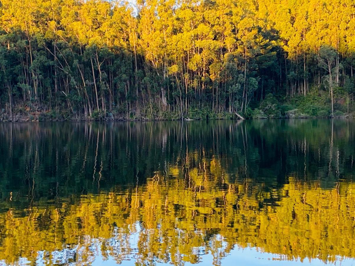 Pura Lodge Concepción Dış mekan fotoğraf