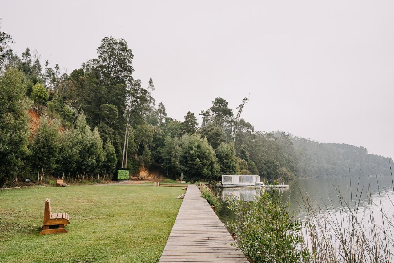 Pura Lodge Concepción Dış mekan fotoğraf